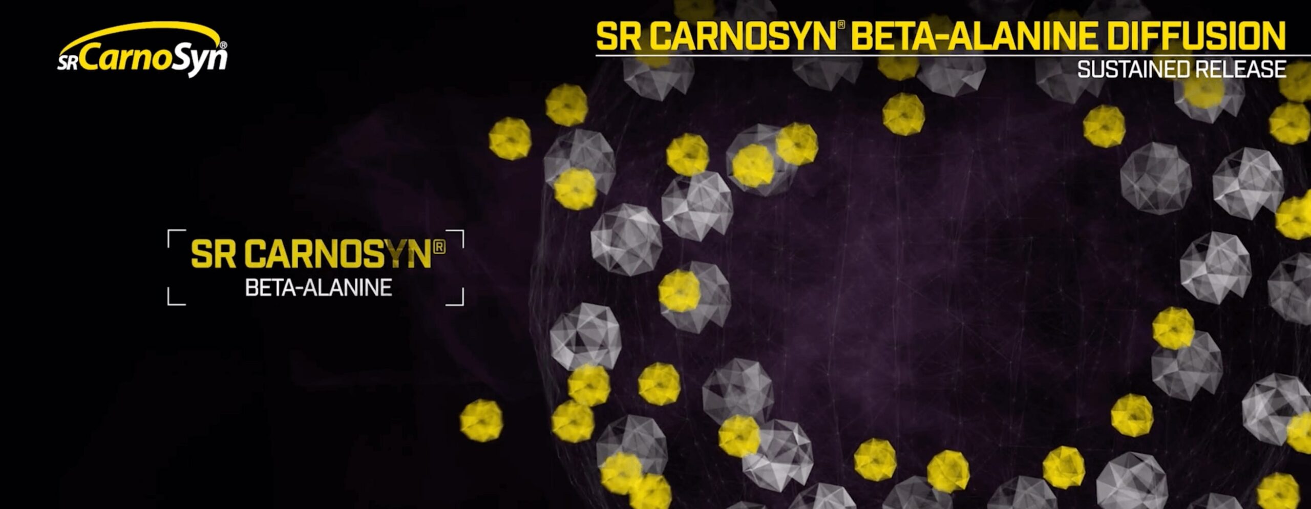 SR　CarnoSyn®：強さの科学